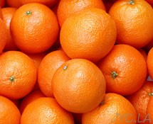 橙子的做法