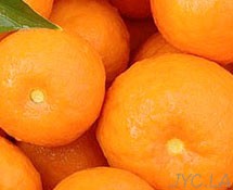 蜜橘的做法